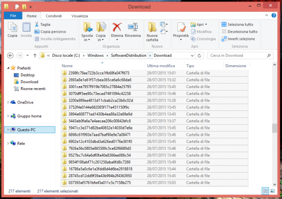 Esplora Risorse - C:\Windows\SoftwareDistribution\Download