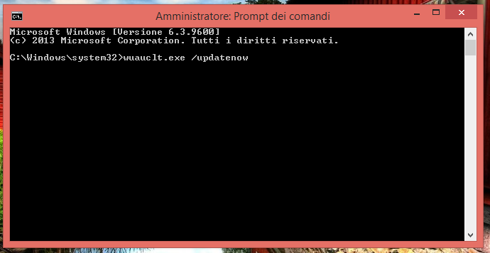 Prompt dei comandi - wuauclt.exe /updatenow